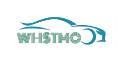 Wuhan SMTO Industry & Trade Co,Ltd
